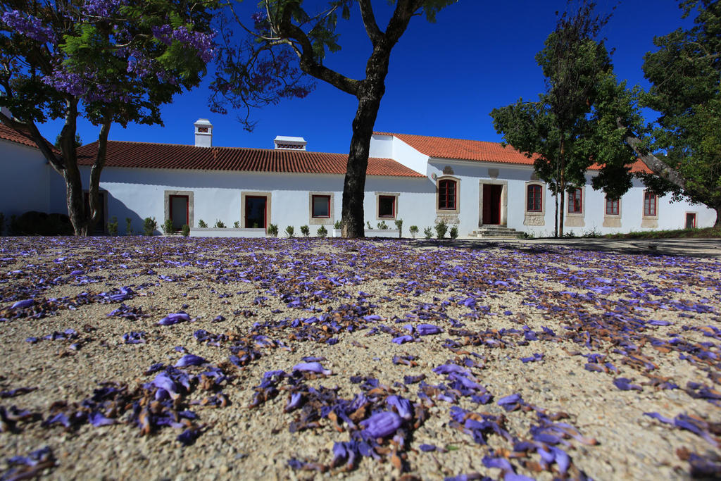 Quinta da Lapa Manique do Intendente Exterior foto